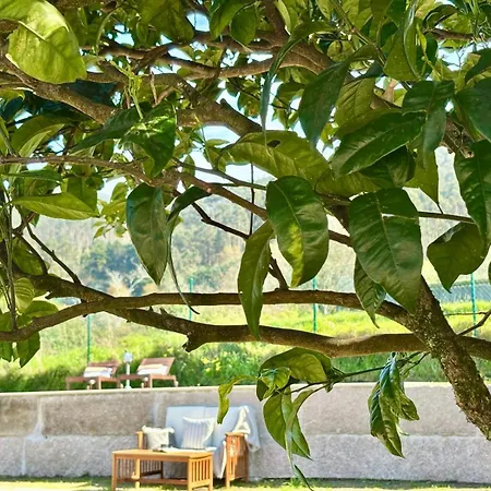 Villa Holibai, Casa Celso, Ecoturismo Cerca De La Costa, *