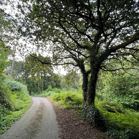 Willa Holibai, C Celso, Viaje Encantador A Un Hermoso Enclave De Galicia, Rias Baixas Gondomar